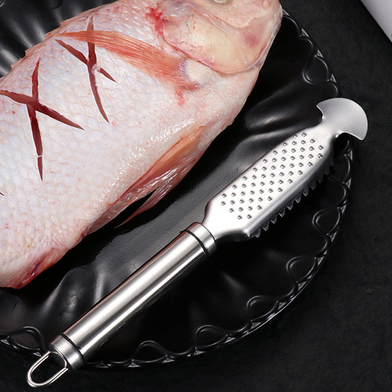 đȘĂcailleur de poisson en acier inoxydableđ