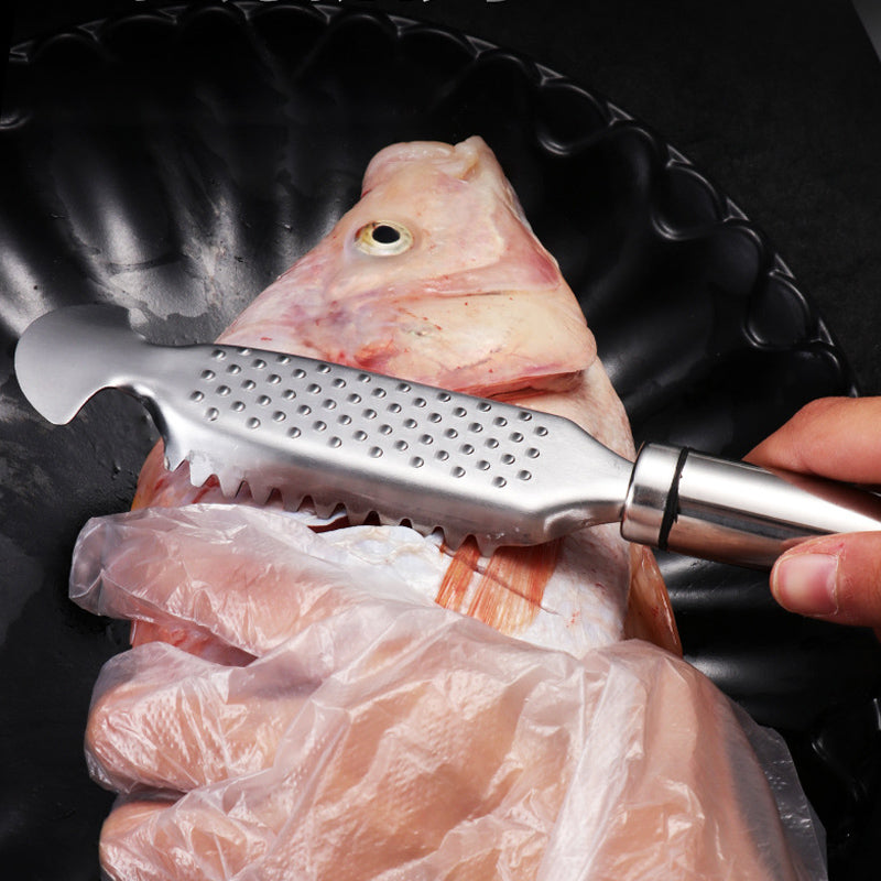 đȘĂcailleur de poisson en acier inoxydableđ