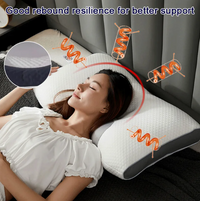 Oreiller de massage antibactérien pour le cou