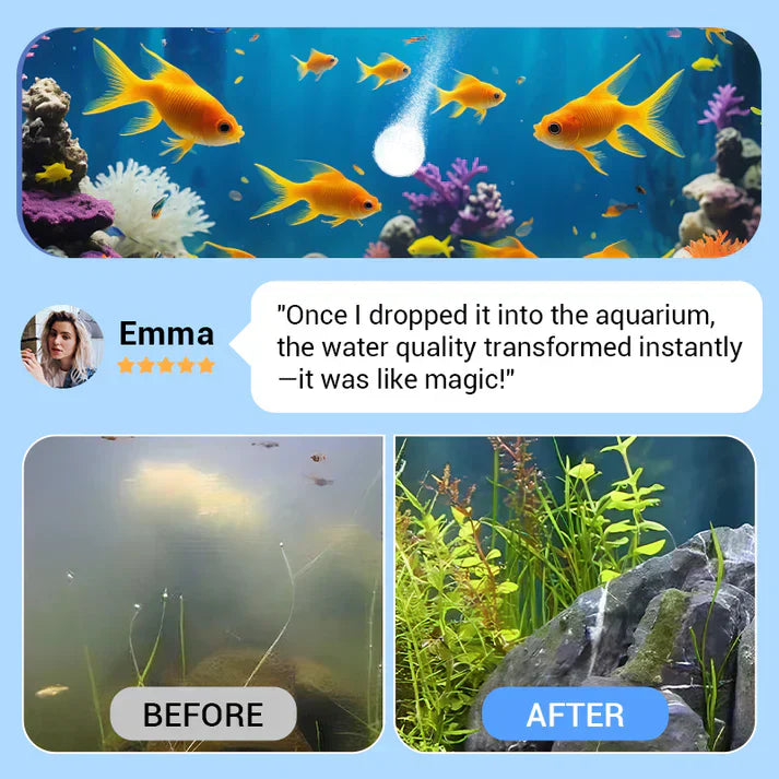 💥Offre spéciale -50%♻️💧Comprimé puissant de purification de l'eau d'aquarium