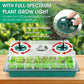 💎60% RABATT! 💎 Groningsbrickor med odlingsljus – Fuktighetskontroll, transparent och fullspektrumljus 🌱💡