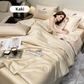 🛏Meilleurs prix pour l'été❄️Parure de lit quatre pièces en velours de haute qualité💕Confortable et rafraîchissant(🚀50% de réduction)