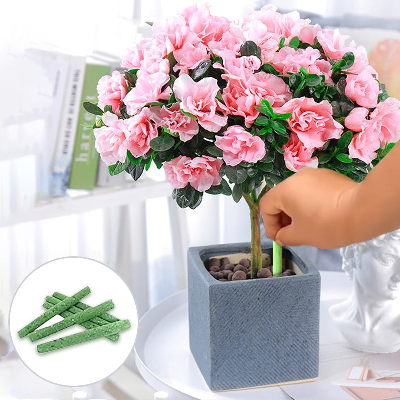 Engrais organique à libération lente en bâton pour plantes d'intérieur