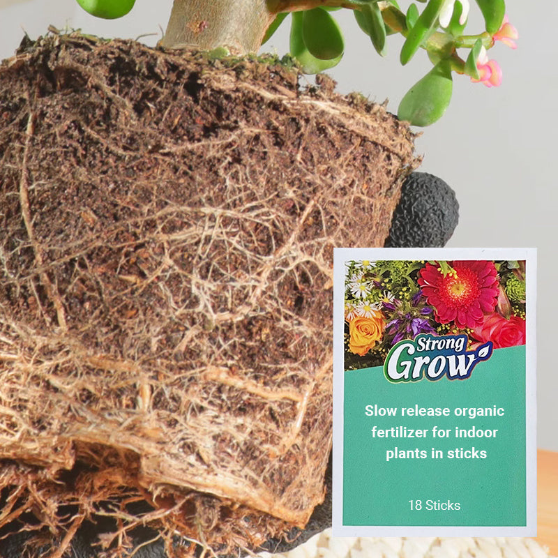 Engrais organique à libération lente en bâton pour plantes d'intérieur