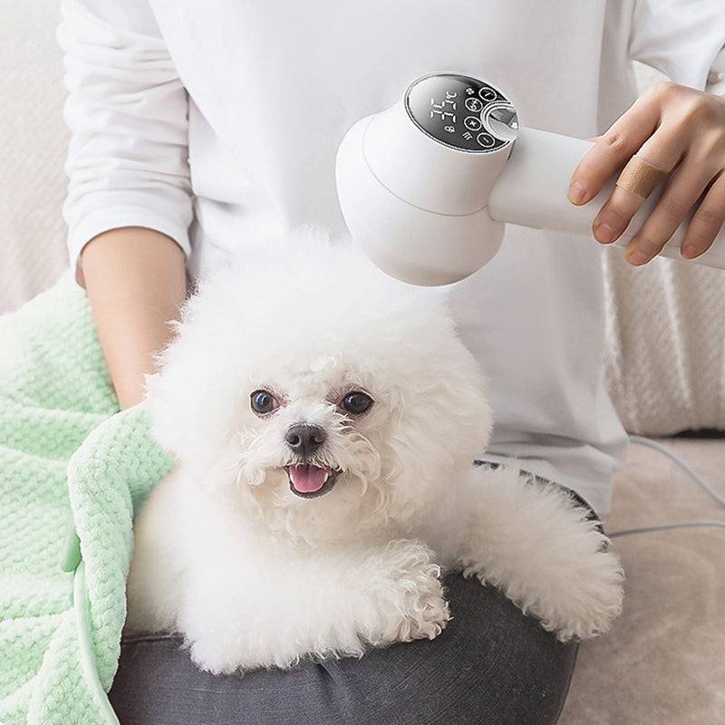 🔥Sèche-cheveux pour animaux de compagnie à faible bruit avec brosse lissante