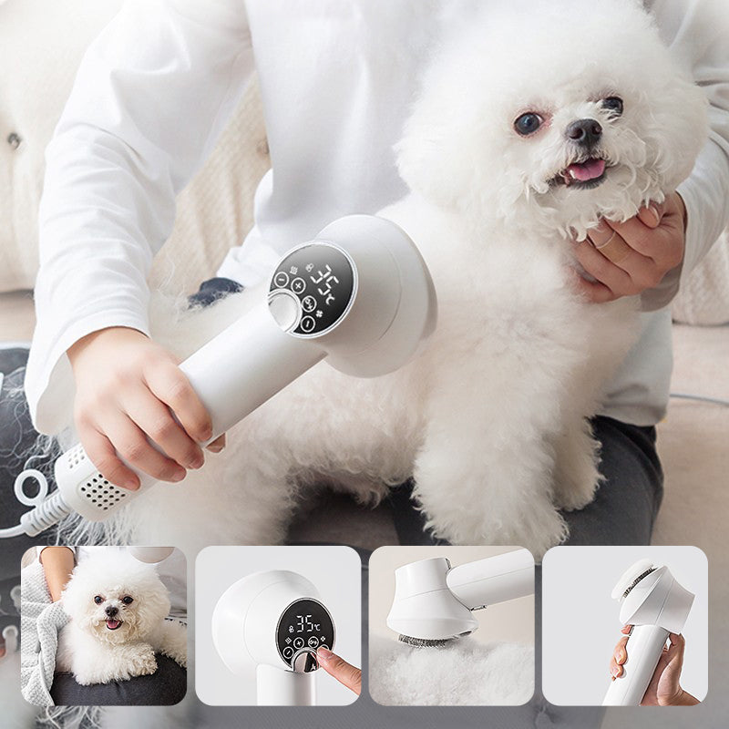 🔥Sèche-cheveux pour animaux de compagnie à faible bruit avec brosse lissante