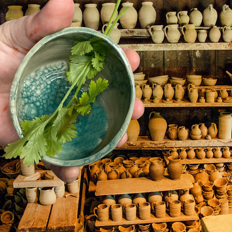 Décapant d'Herbes Décoratif en Poterie Pratique et Magnifique