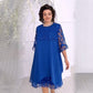 ⏳Réduction limitée de 50%🎁Robe en tulle doux et en dentelle superposée