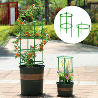 🪴Tuteurs amovibles pour plantes, fleurs et fruits🔥50% de réduction pour une durée limitée