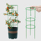 🪴Tuteurs amovibles pour plantes, fleurs et fruits🔥50% de réduction pour une durée limitée