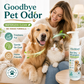 🐾 50% RABATT NU! Vattenfritt torrschampo för husdjur – utan sköljning, luktdämpande & mild skummousse – perfekt för hundar, katter och kaniner ✨